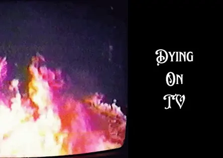 Dying on TV LIVE!: Shaymin, Rykener, The Undead Cat and IJ