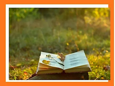 Green Reads: West with Giraffes