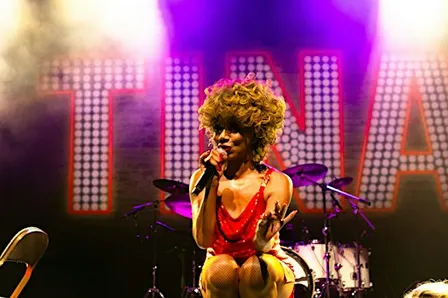 Tina Turner's Simply the Best by Rebecca O'Connor