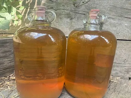 Misty Moon Cider Making Course: Friday 9 October 2026