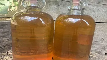 Misty Moon Cider Making Course: Friday 9 October 2026