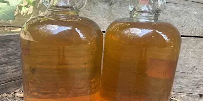 Misty Moon Cider Making Course: Friday 9 October 2026