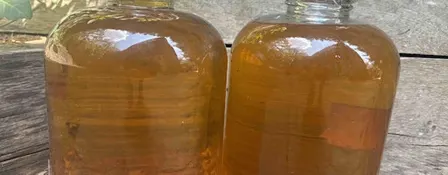 Misty Moon Cider Making Course: Friday 9 October 2026
