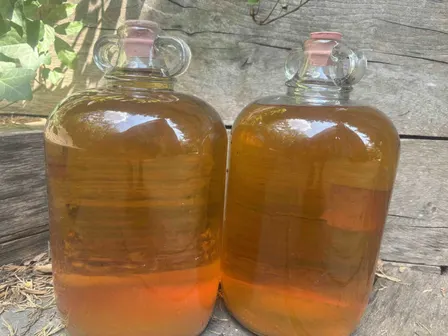Misty Moon Cider Making Course: Saturday 10 October