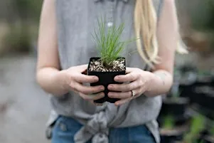 Nursery Workshop: Propagation Intensive