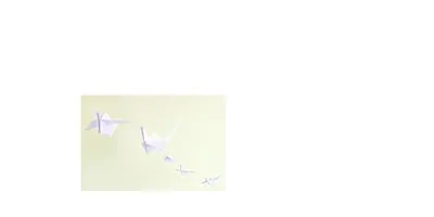 Origami (single class ticket)