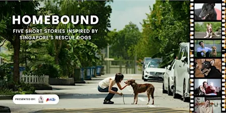Homebound Movie Screening (2pm)