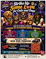 Strike up Some Love for Cats and Dogs
