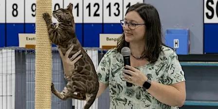 Ottawa Cat Show 2026