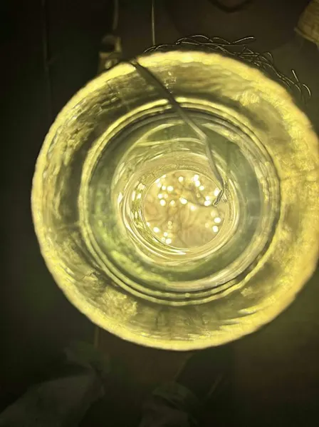 Soil to Soul Living: A SOUND HEALING Experience