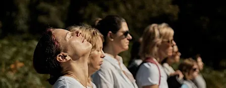 The Wild Pause: A Mindfulness in Nature & Forest Bathing Experience