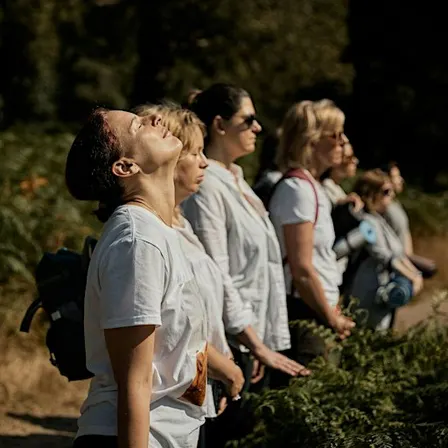 The Wild Pause: A Mindfulness in Nature & Forest Bathing Experience