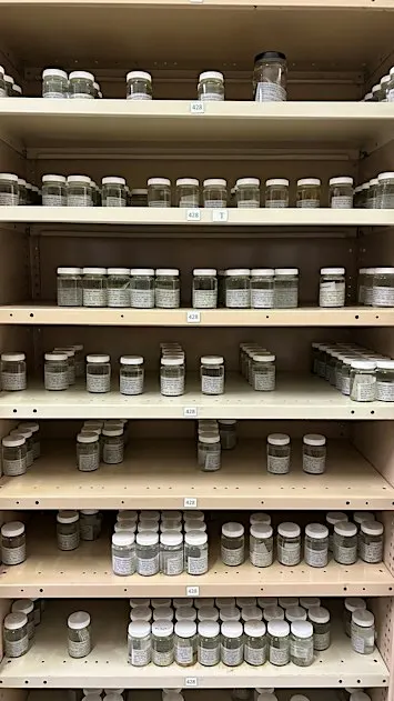 Children's Tour | The Natural Science Wet Store