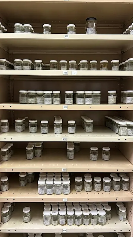 Children's Tour | The Natural Science Wet Store