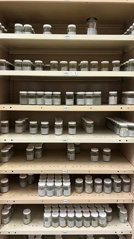 Children's Tour | The Natural Science Wet Store