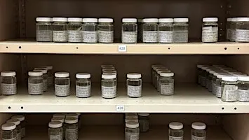 Children's Tour | The Natural Science Wet Store