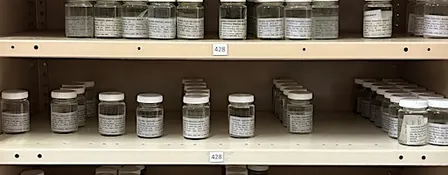 Children's Tour | The Natural Science Wet Store