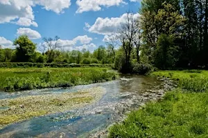Pilgrim River