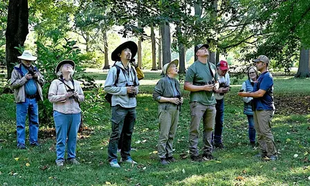 Arboretum Fall Migration Bird Hikes