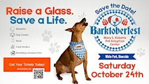 Barktoberfest 2026 – Riverside's Pet-Friendly Beer Festival