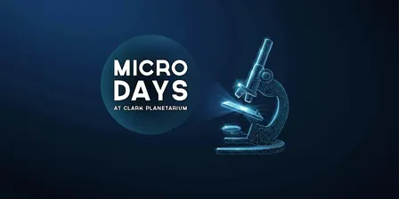 Micro Days: Candy