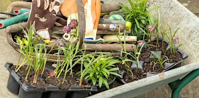 Lincolnshire Environmental Awards and Community Picnic 2026