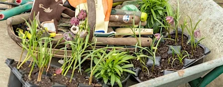 Lincolnshire Environmental Awards and Community Picnic 2026