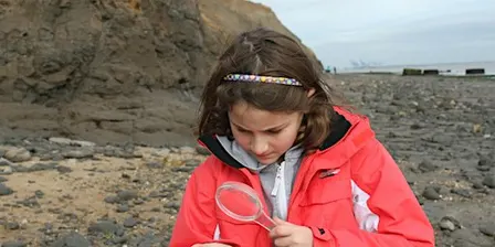 Naze seashore science and discovery - Wilder Families Club