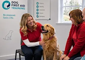Classroom Based Dog First Aid Course in Sheffield