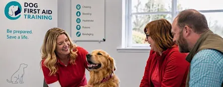 Classroom Based Dog First Aid Course in Sheffield
