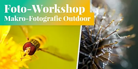 Fotokurs: Makro-Fotografie