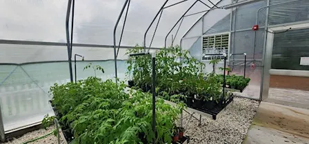 Plant Propagation 101