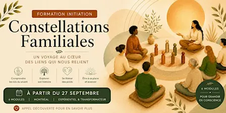 Formation Initiation aux Constellations Familiales