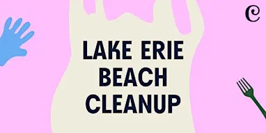 Lake Erie Beach Cleanup