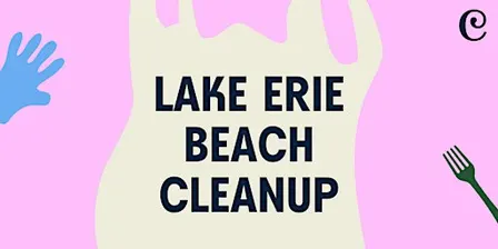 Lake Erie Beach Cleanup