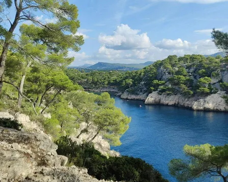Randonnée commentée : histoire de la pierre de Cassis