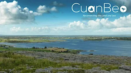 Cuan Beo Oyster Experience