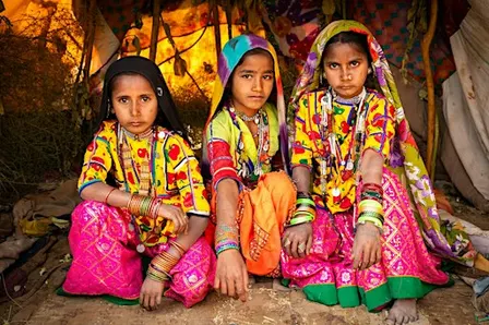 Nomadic Lives of India