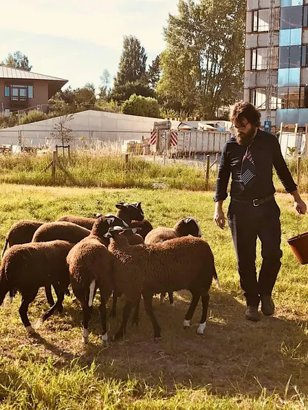 Ville-Campagne : visite des dernières prairies intra urbaines de Bruxelles