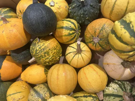 Kids Floral Pumpkin Workshop