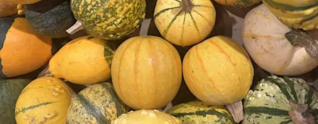 Kids Floral Pumpkin Workshop