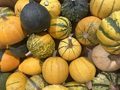 Autumn Wreath Workshop