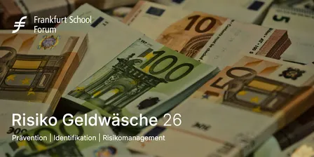 Risiko Geldwäsche 26