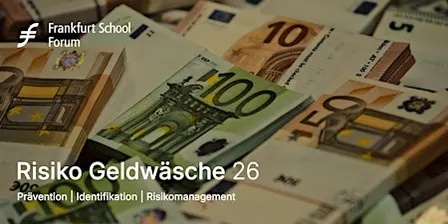 Risiko Geldwäsche 26