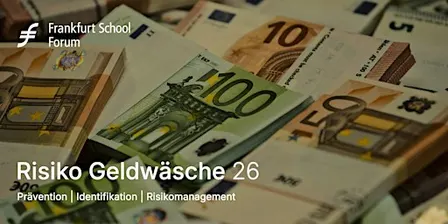 Risiko Geldwäsche 26