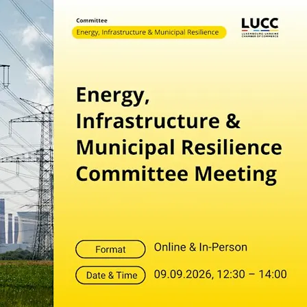 LUCC Energy, Infrastructure & Municipal Resilience Committee Meeting 3