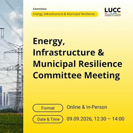 LUCC Energy, Infrastructure & Municipal Resilience Committee Meeting 3