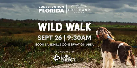 Wild Walk with FREEHAND GOODS Dog Walk Club!