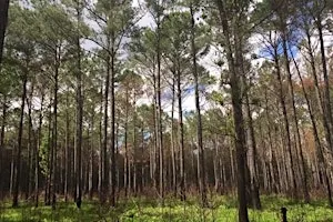 Forest Landowner Conference
