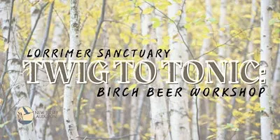 Twig to Tonic: Birch Beer Workshop